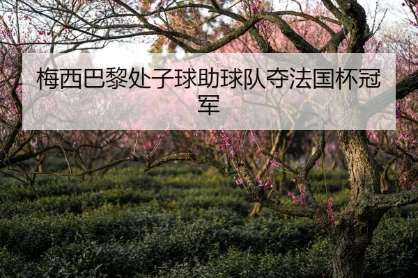梅西巴黎处子球助球队夺法国杯冠军