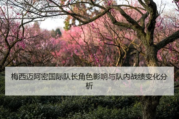 梅西迈阿密国际队长角色影响与队内战绩变化分析 | shaba